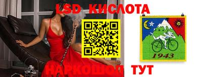 крисы Тверь