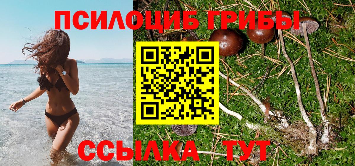 Галлюциногенные грибы Psilocybine cubensis  Галлюциногенные грибы ЛСД  Вход с VPN  Нижний Новгород 
